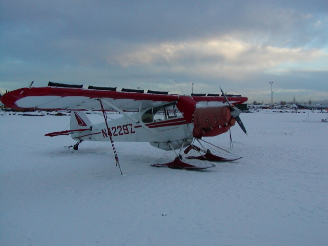 L2500A:  L2500A Straight Ski for Piper/Cessna 170 - Image 3
